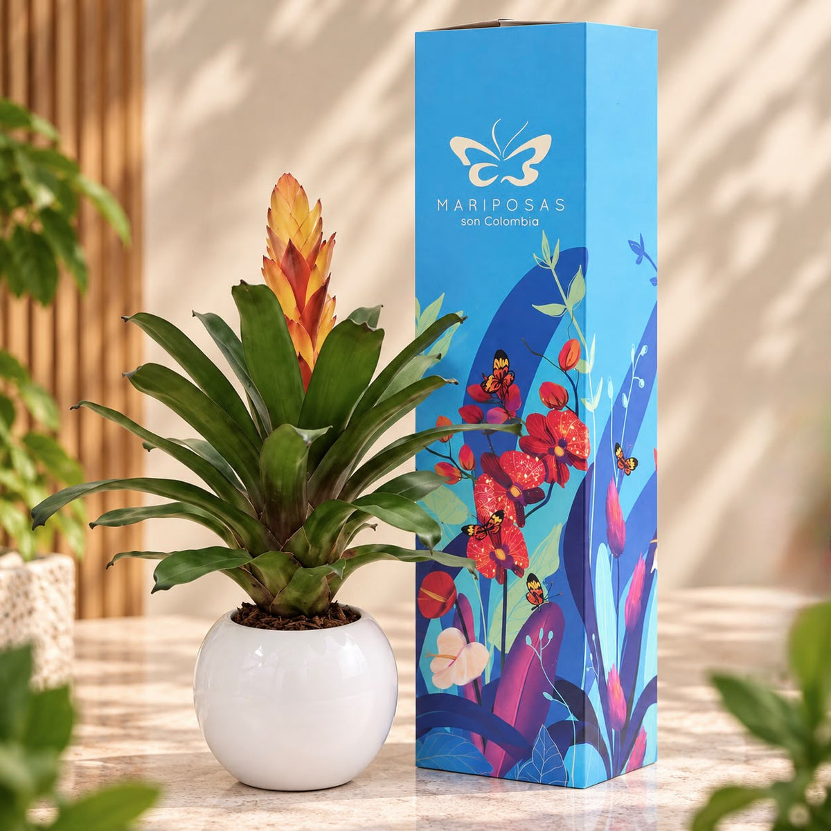 Bromelia