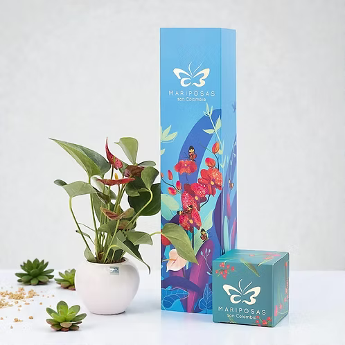 Anturio-Planta