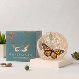 Anturio-Planta
