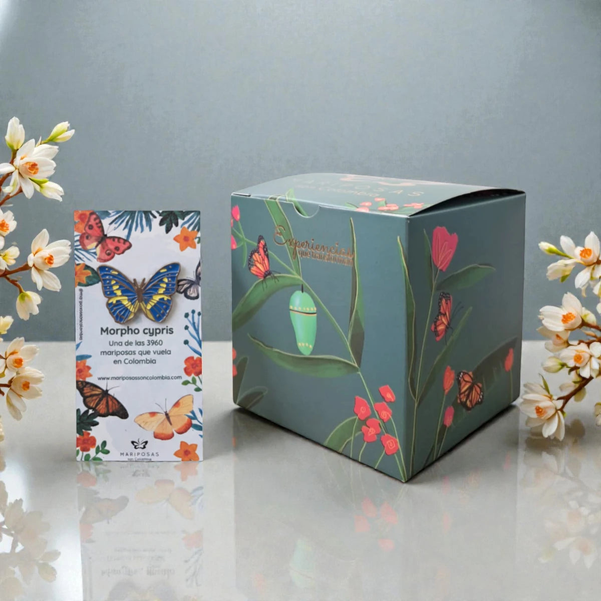 Kit Nuevos Comienzos: Pin + Mariposa