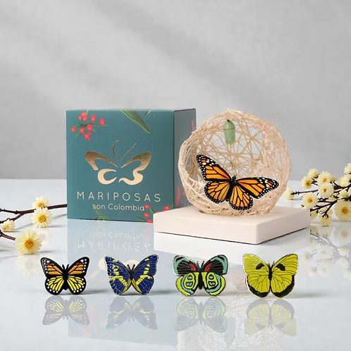 Kit Nuevos Comienzos: Pin + Mariposa