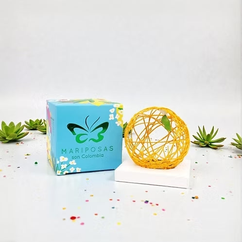 Mariposa educativa para niños