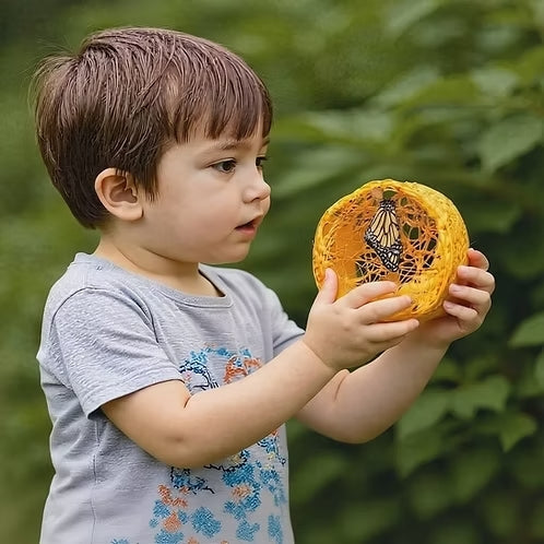 Mariposa educativa para niños