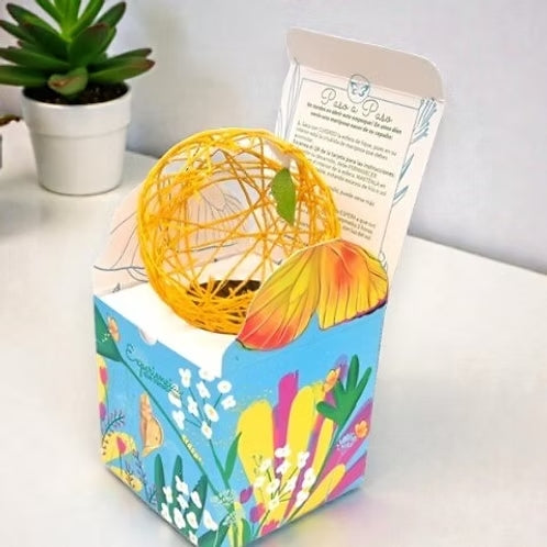 Mariposa educativa para niños