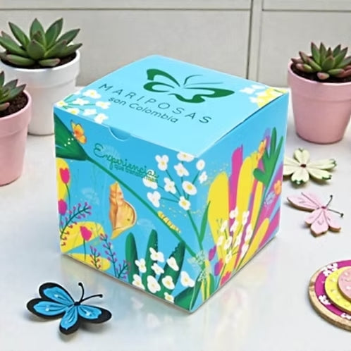 Mariposa educativa para niños