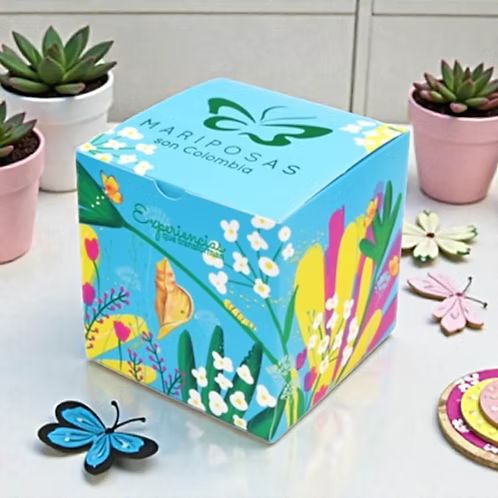 Promoción octubre: Tres Crisálidas de Mariposa para Niños por el Precio de dos