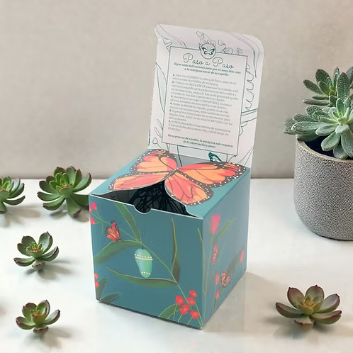 Mariposa para el Alma