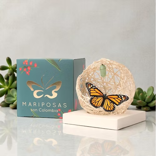 Mariposa para el Alma