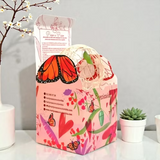 Mariposa por Amor
