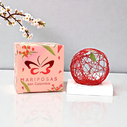 Mariposa por Amor
