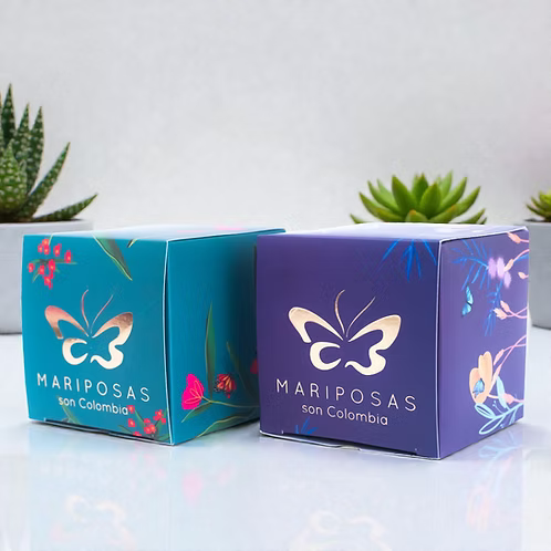 Jardín Suculenta Mariposa
